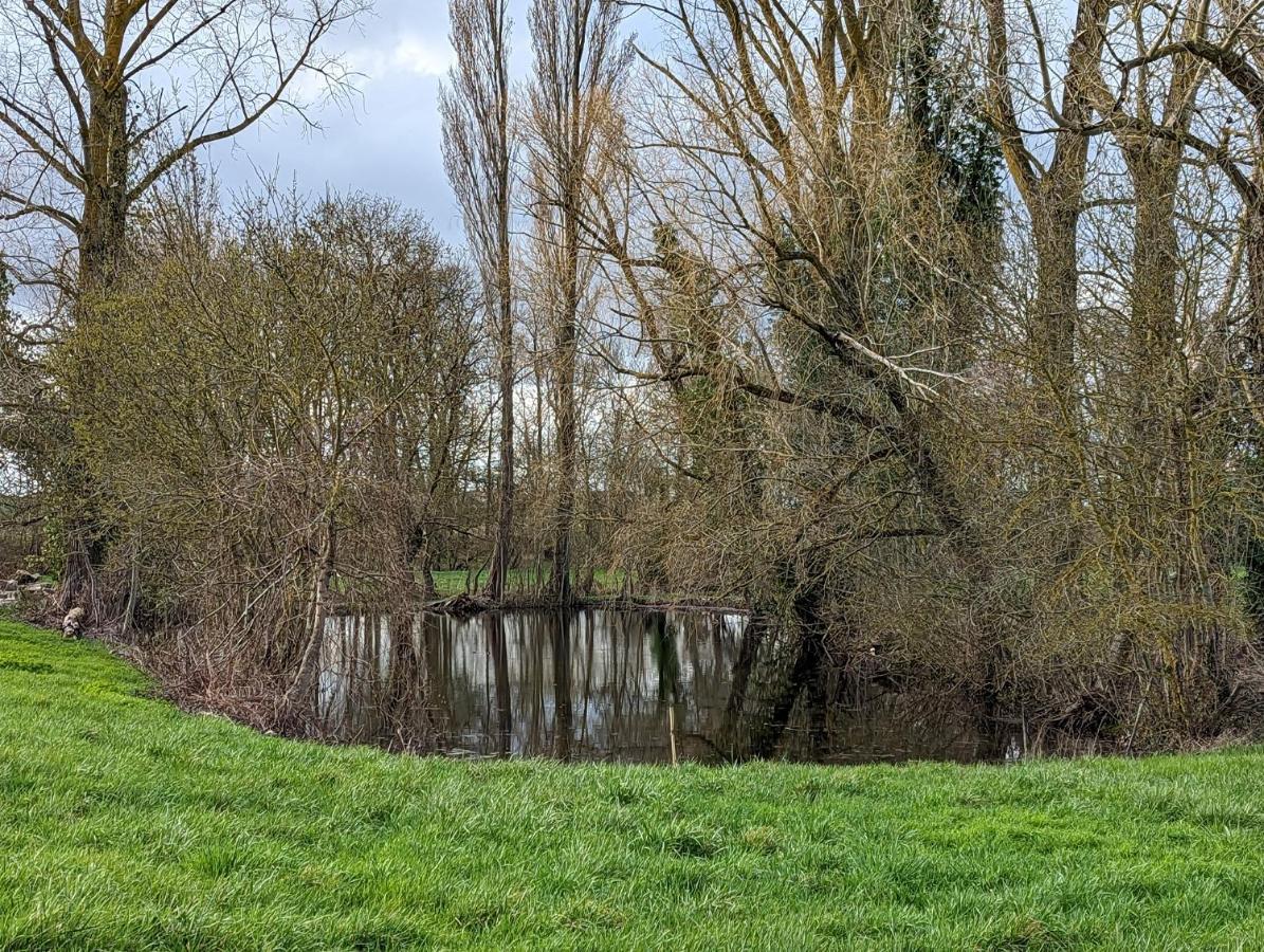 La Metairie De La Petillerie Roullet-Saint-Estephe Esterno foto